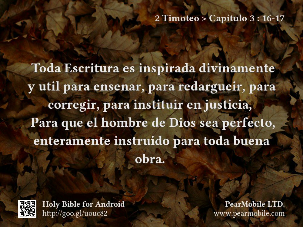 2 Timoteo, Capítulo 3:16-17